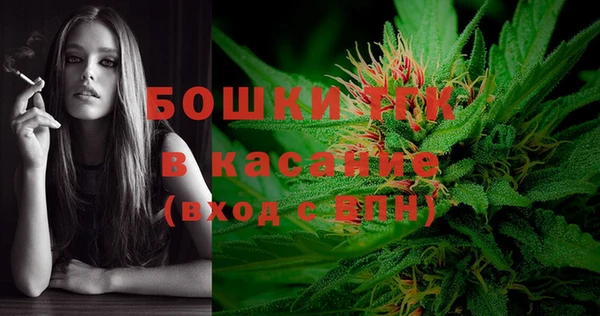 гидра Бородино