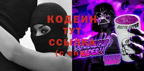 гидра Бородино