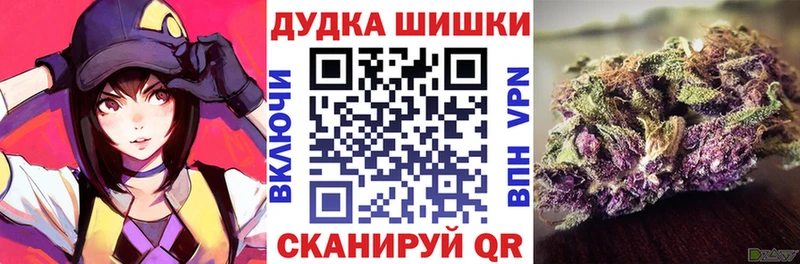 Бошки марихуана конопля  купить наркотики цена  Балей 